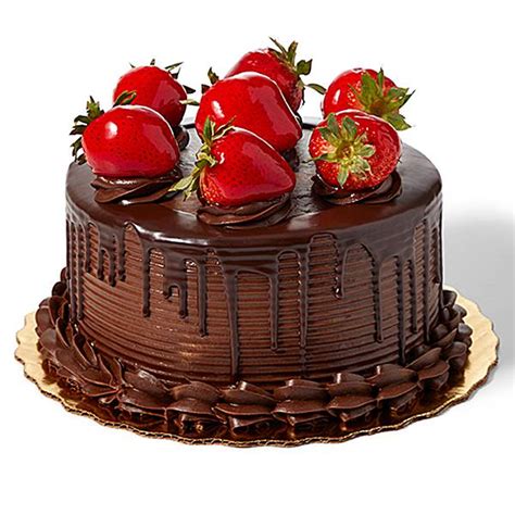 Chocolate Lovers Delight Cake
