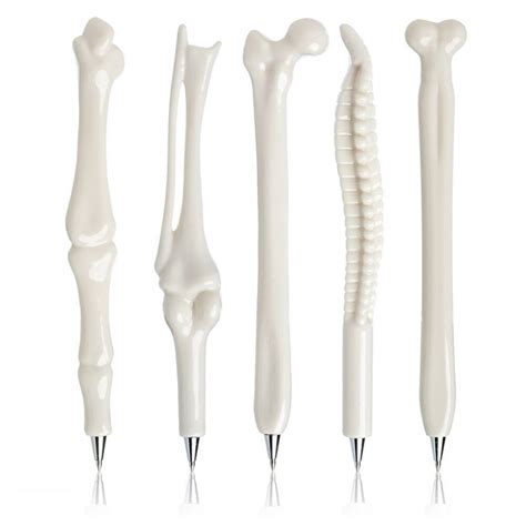 A healthy spine when viewed from the side has gentle curves to it. Aliexpress.com : Buy 5pcs Novelty Bone Shape Ballpoint ...