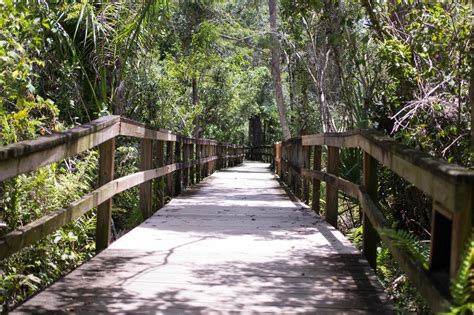 Big Cypress Bend Boardwalk Trail In Florida Is The Most Unique Hike