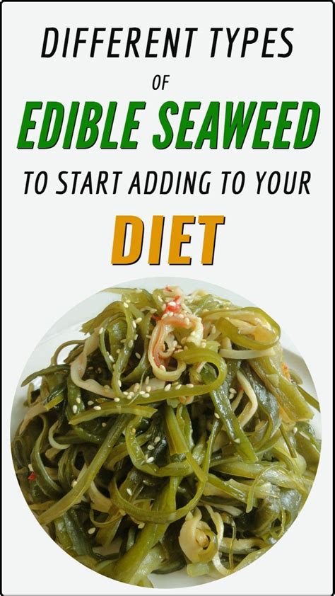 Edible Seaweed Different Types And How To Add To Your Diet Edible