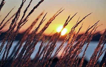 Summer Sunrise Lake Wallpapers Sunset Morning Grass