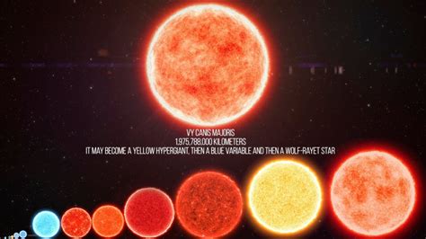 Vy canis majoris is the biggest star we know of and also one of the most luminous. Size Comparison of the Universe 2018 - YouTube