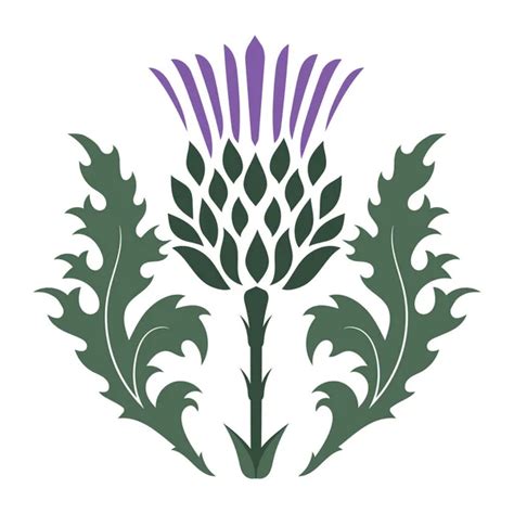 100000 Scottish Thistle Vector Images Depositphotos