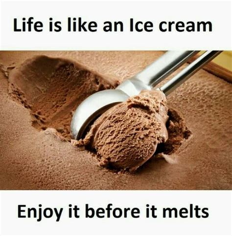 Life Is Like An Ice Cream Enjoy It Before It Melts Postive Life Quotes Chocolate Lovers