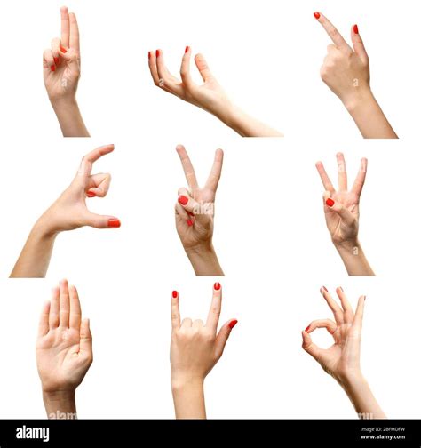 Set Of Female Hands Gestures Isolated On White Stock Photo Alamy