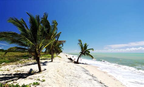 15 Curiosidades Sobre A Bahia Chapinha Na Mala