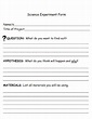 FREE 11+ Science Experiment Form Template in PDF | MS Word