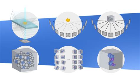 Subtomogram Averaging In The Cryo Et Workflow