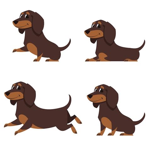 Premium Vector Dachshund In Different Poses Set Of Cute Pets In