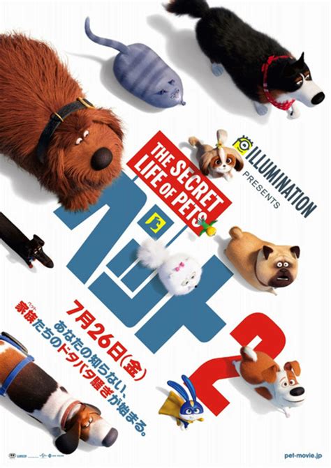 The Secret Life Of Pets 2 33 Of 33 Extra Large Movie Poster Image