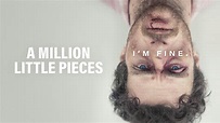 A Million Little Pieces: Trailer 1 - Trailers & Videos - Rotten Tomatoes