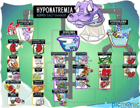 Infographic How To Study Hyponatremia Picmonic