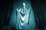 Ghost In The Forest Free Stock Photo - Public Domain Pictures