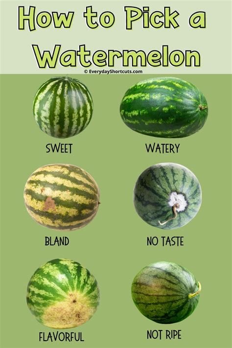 How To Pick The Perfect Watermelon Everyday Shortcuts