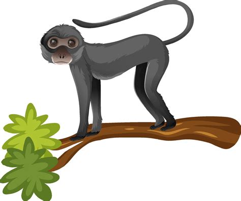Personaje De Dibujos Animados De Animales Del Mono Araña Sobre Fondo