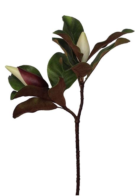 magnolia leaf branch with buds artificial wedding greenery afloral magnolia leaves plant