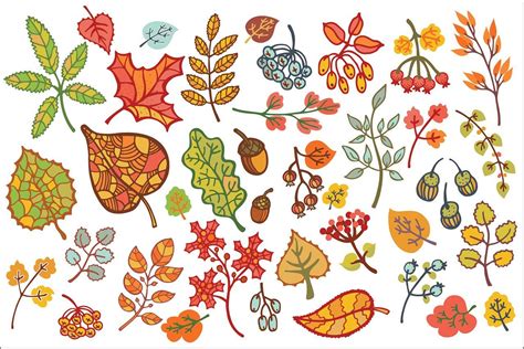 Autumn Leaves Set Vector Clipart Autumn Leaves Leaves Doodle Vector Clipart