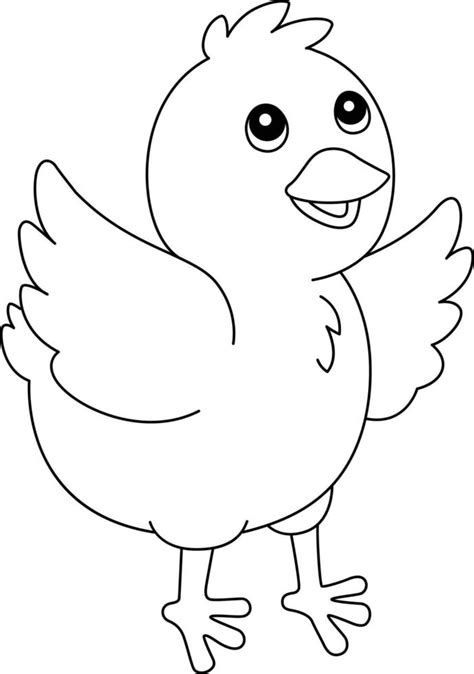 Pollito Para Colorear P Gina Aislada Para Ni Os Vector En Vecteezy