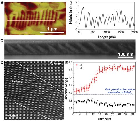 A Strain Driven Morphotropic Phase Boundary In Bifeo3 Science