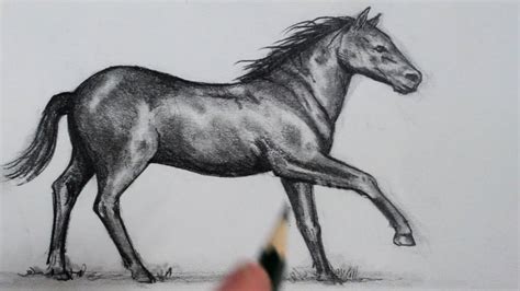 How To Draw A Horse Tutorials That Beginners Should Check Out