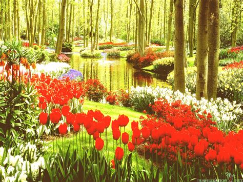 Most Beautiful Garden Wallpapers Top Free Most Beautiful Garden
