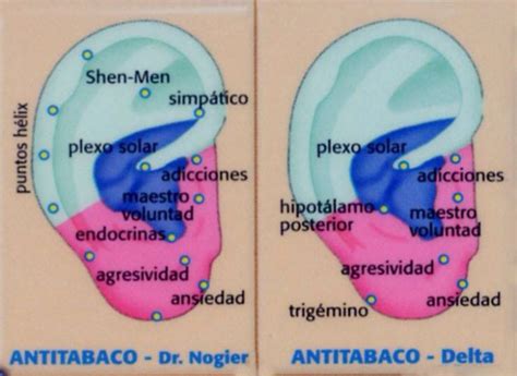 17 Best Images About Health Auriculotherapy Auricular Acupuncture Ear