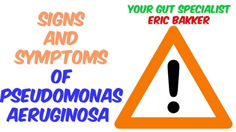 Signs And Symptoms Of Pseudomonas Aeruginosa Infection Youtube