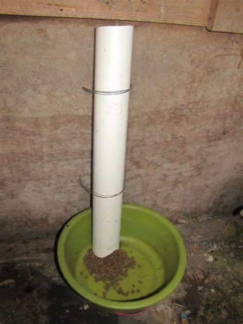 But, if you have more than one cat in the household, you can also use the surefeed selective cat feeder. My homemade auto dog feeder in General Discussion Forum | Dog feeder, Cat feeder diy, Diy dog stuff