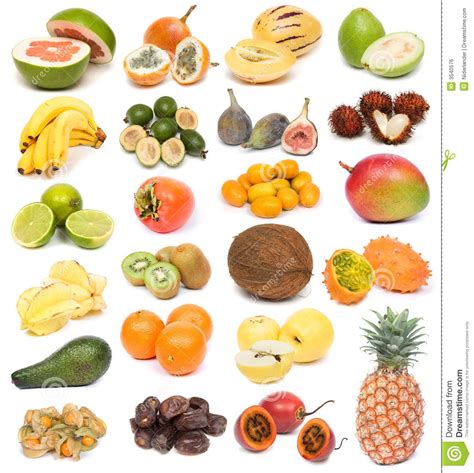 Accueil alimentation produits surgelés fruits et légumes surgelés. Pin on Fruits & Légumes Exotiques