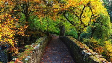 Picture Scotland Dunkeld Perthshire Autumn Nature Bridges 3840x2160