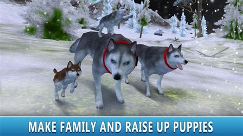 Husky Snow Dog Simulator 3d Full By Games Banner Network