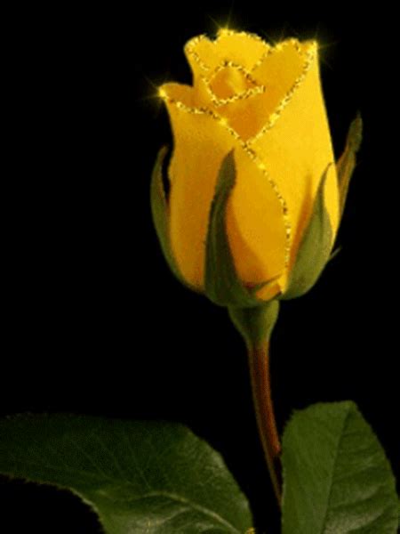 Image Result For Animated Yellow Rose  Flower Lights Beautiful