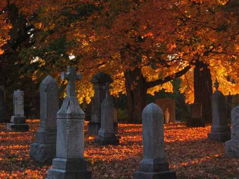 Graveyard Gate Ghosts And Graveyards Pinterest Graveyards Gates
