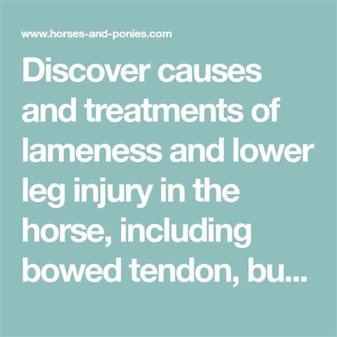 Discover Causes And Treatments Of Lameness And Lower Leg Injury In The