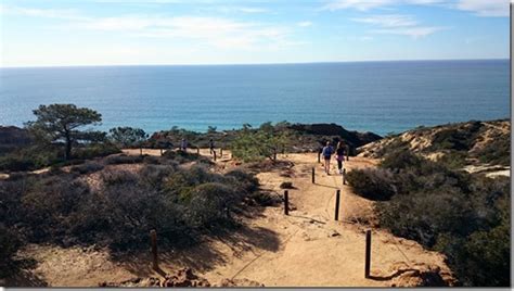 Torrey Pines State Natural Reserve San Diego Visions Of Travel