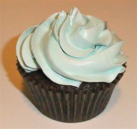 Chocolate Cupcake Pale Blue Buttercream Wiltoncontest Wilton Cakes