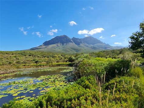 Helderberg Nature Reserve In The City Cape Town
