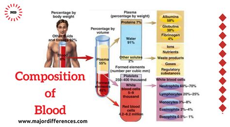 4 Difference Between Plasma And Lymph