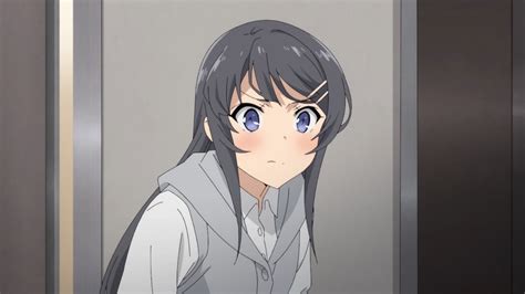 Anime Sakurajima Mai Seishun Buta Yarō Wa Bunny Girl Senpai No Yume