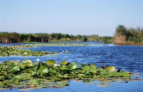 Basierend auf vektordatei aus wikipedia commons. Donaudelta Foto & Bild | europe, eastern europe, ukraine ...