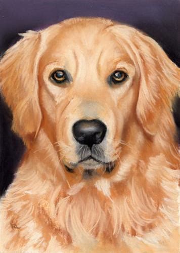 Golden Retriever Pet Portrait Sold By Ria Hills