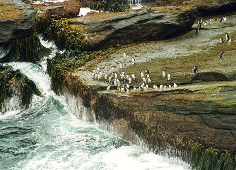 Fdra Malvinas Geografía Y Clima De Las Islas