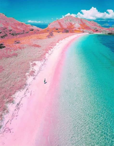 Pink Beach Indonesia Ocean Travel Tourist Attraction Sightseeing