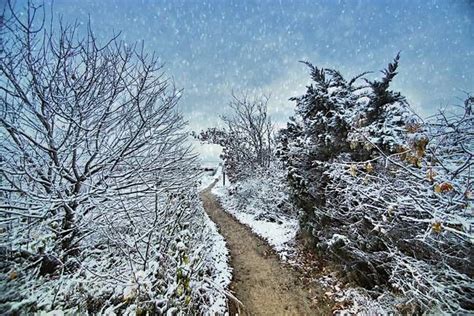 Winter Path At First Snowfall Hdr By Christopher Seufert Cape Cod