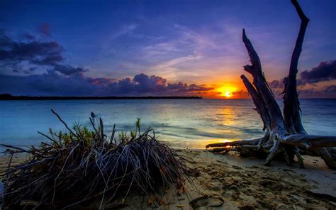 Download Desert Island Sunset Wallpaper For Android Live By