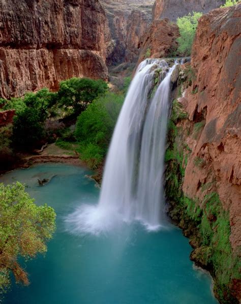 Havasu Falls Is A Waterfall In The Grand Canyon Located 1½ Miles From