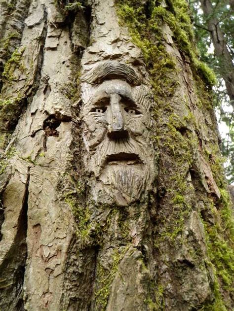 40 Amazing Tree Wood Carving Pictures