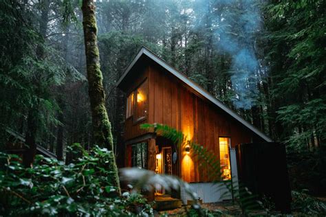 Stay At Fern Gully Cabins On Vancouver Island The Mandagies