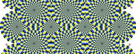 10 Mind Melting Optical Illusions That Will Make You Question Reality
