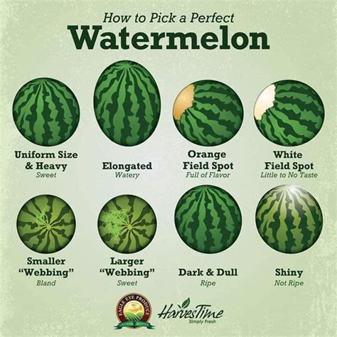 How To Pick The Perfect Watermelon Food Facts Food Hacks Watermelon